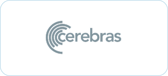 Cerebras